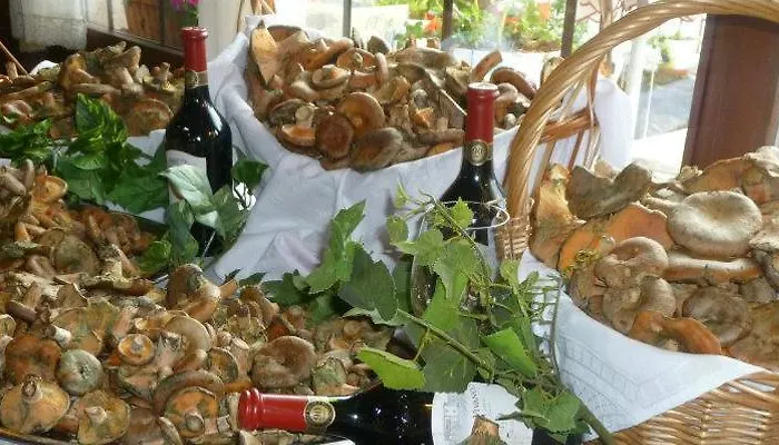 Casa Lucas Hotel Los Tojos