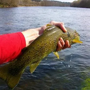 Casa Lucas Los Tojos